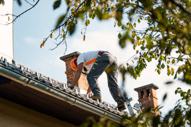 Roof Gutter Cleaning in Clinton, TN