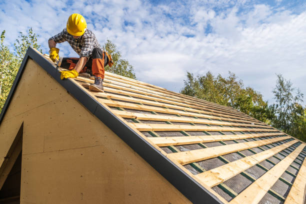 Best Roof Maintenance Services  in Clinton, TN